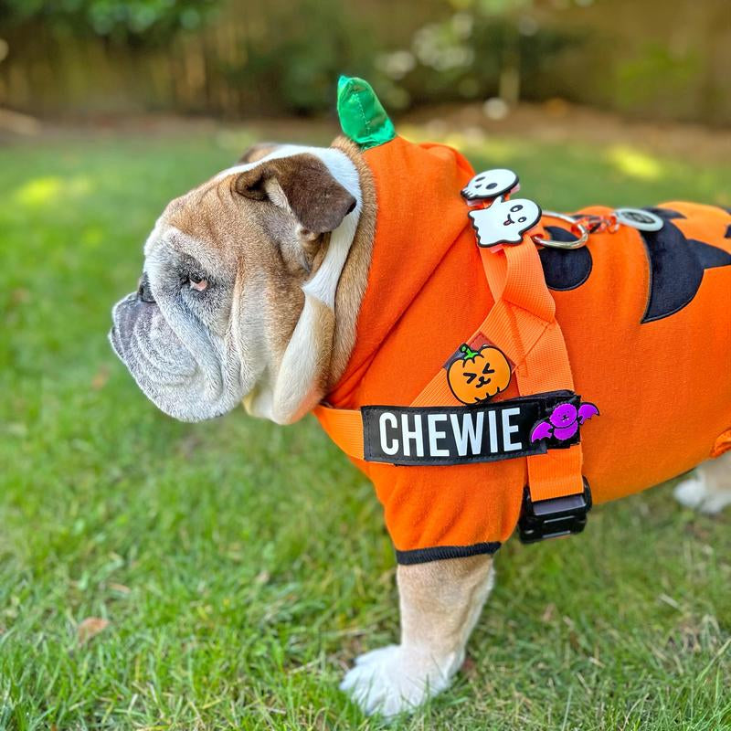 Spooky Dog Jiby Bundle