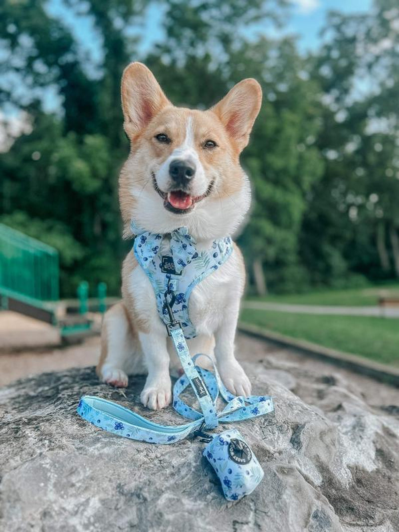 Dog Adjustable Harness - Berry Sassy