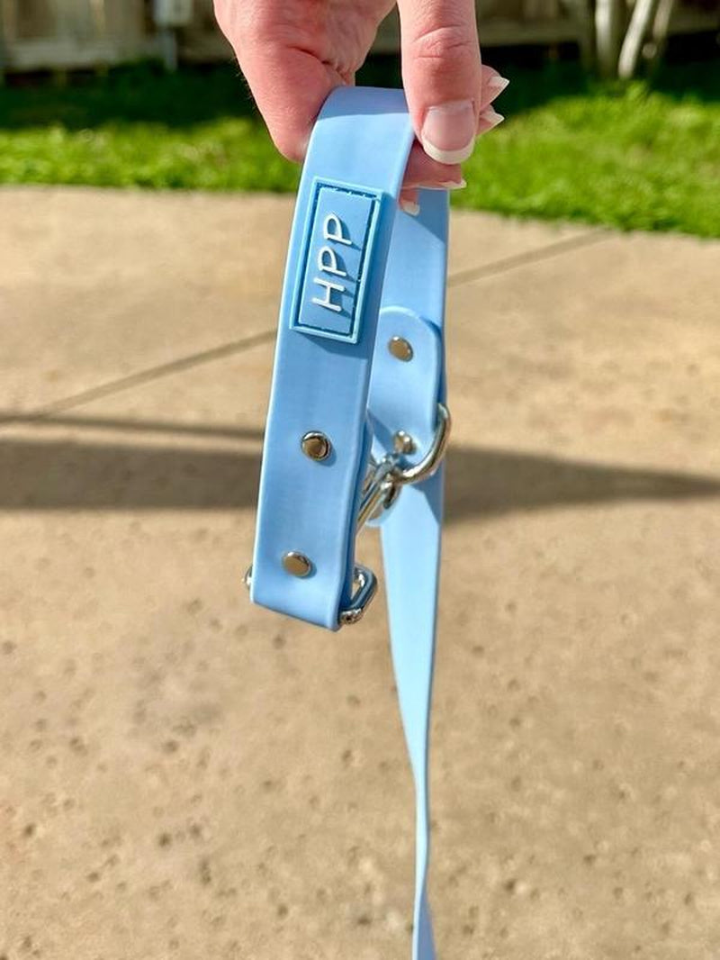 Hands Free Adjustable Dog Leash- Baby Blue