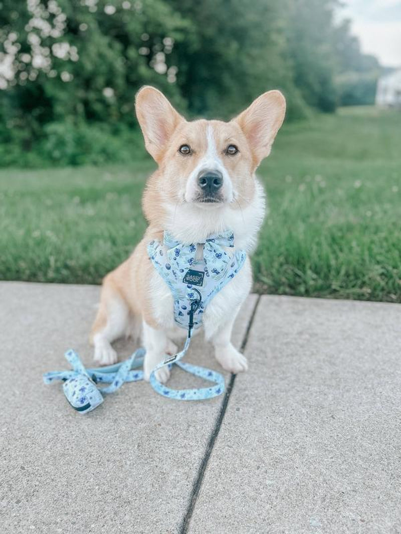 Dog Adjustable Harness - Berry Sassy