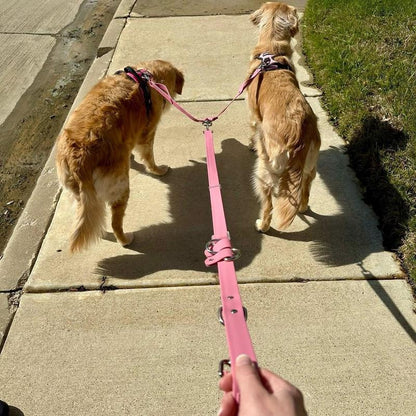 Hands Free Adjustable Dog Leash- Baby Blue
