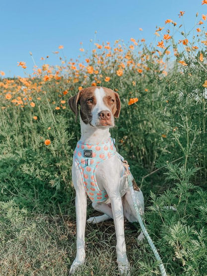 Dog Adjustable Harness - Peach Please
