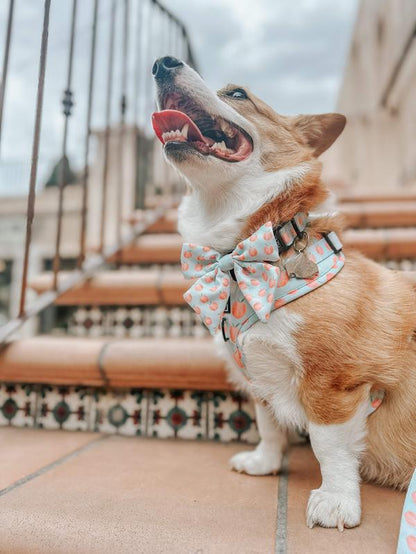 Dog Adjustable Harness - Peach Please