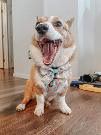 Dog Adjustable Harness - Peach Please