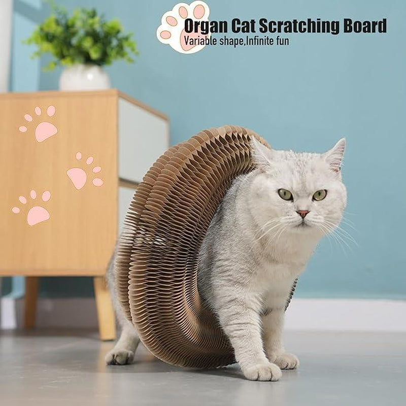 Foldable Interactive Cat Scratching Board with Pinball Track - Engaging Cardboard Toy for Indoor Cats