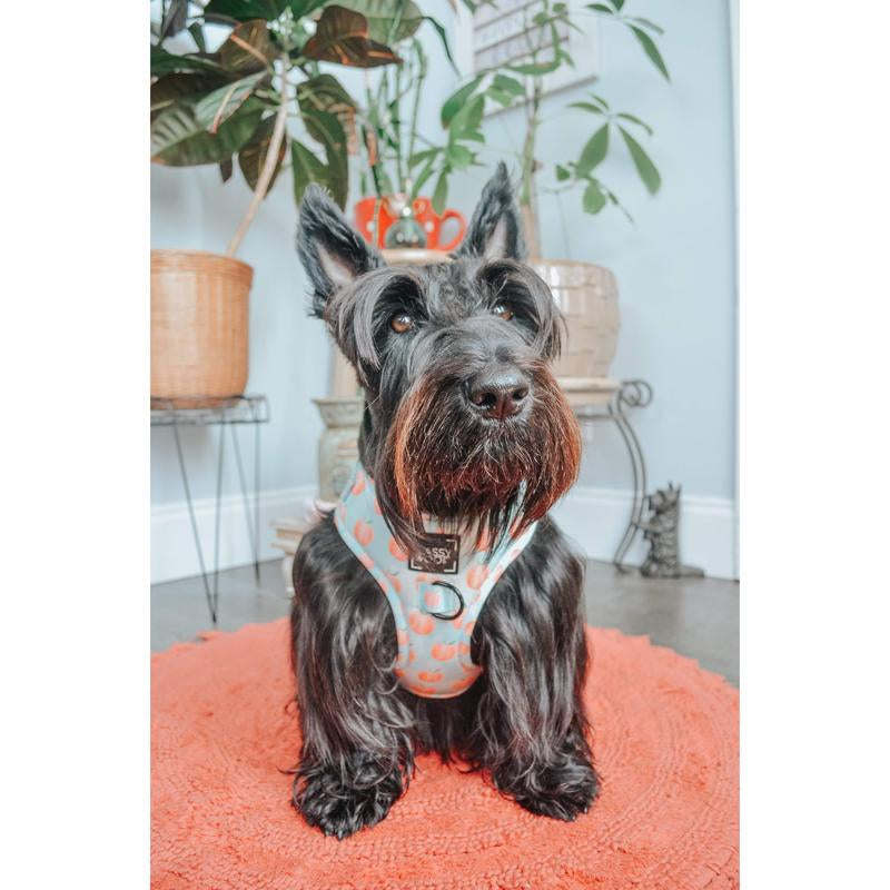 Dog Adjustable Harness - Peach Please
