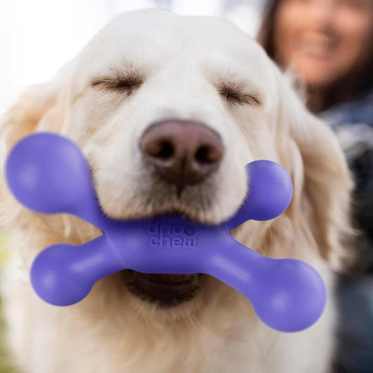 Durable Dog Chew Toys for Aggressive Chewers - 720° Free-Rolling, 80 Shore D Nylon Bones with Natural Bacon Flavor for Medium Dogs, Long-Lasting Teething Toys in Blue with Crinkle and Squeaky Features